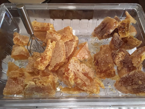 Local honey combs from bee removal jobs in Orlando, Fl