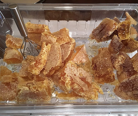 Local honey combs from bee removal jobs in Orlando, Fl