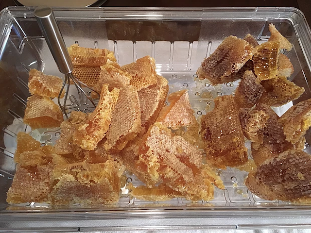 Local honey combs from bee removal jobs in Orlando, Fl