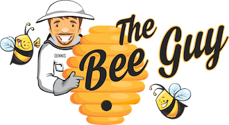 bee removal palm beach county