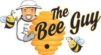 bee removal boca raton