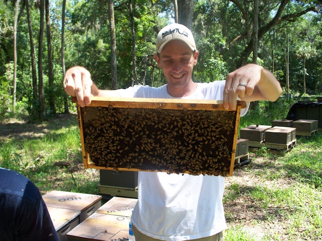 Beekeeper Orlando